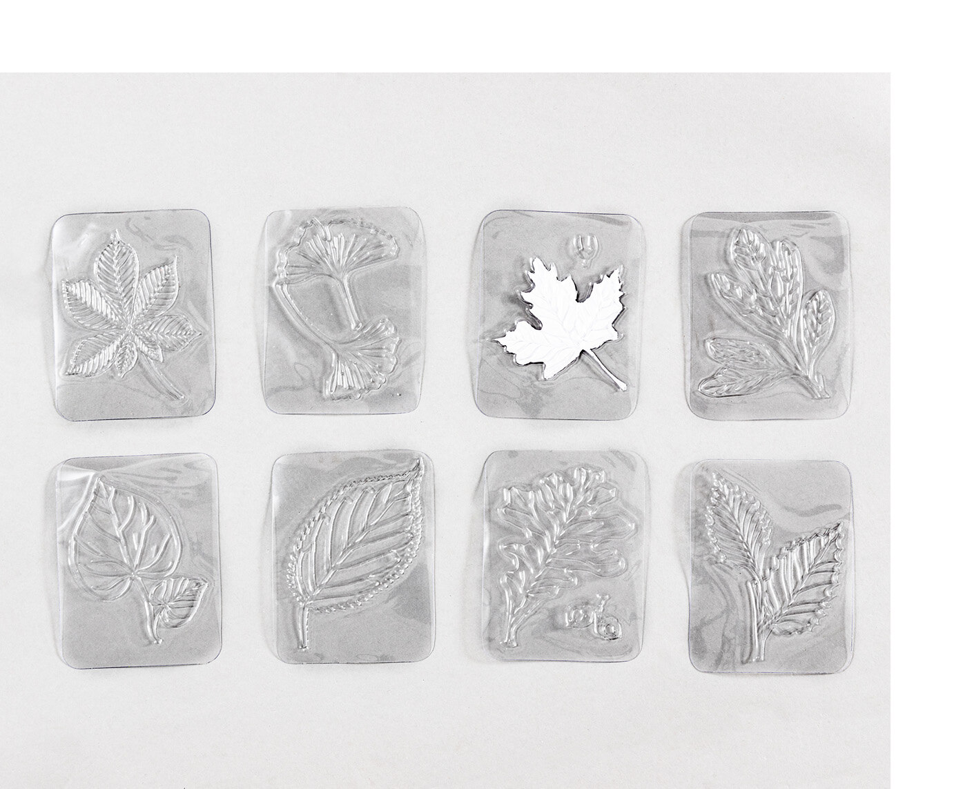 Durchsichtige Kunststoffplatten mit Reliefs von Blättern verschiedener Laubbäume liegen nebeneinander.