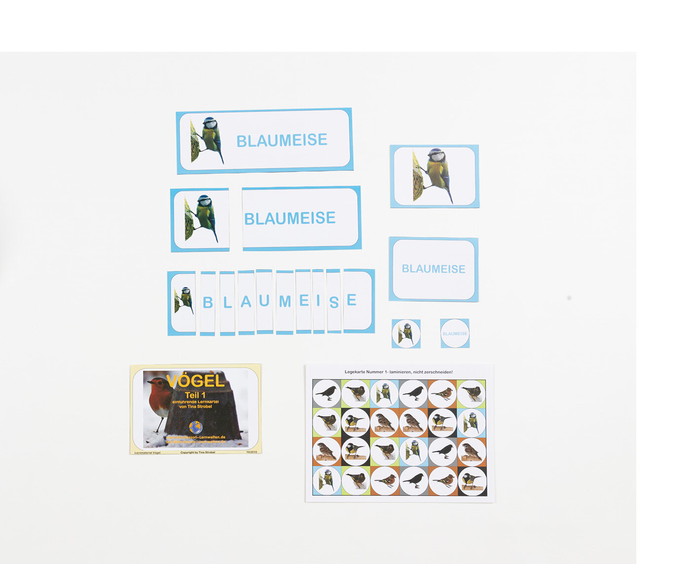 Wort- und Bildkarten verschiedener heimischer Vögel liegen geordnet nebeneinander. 